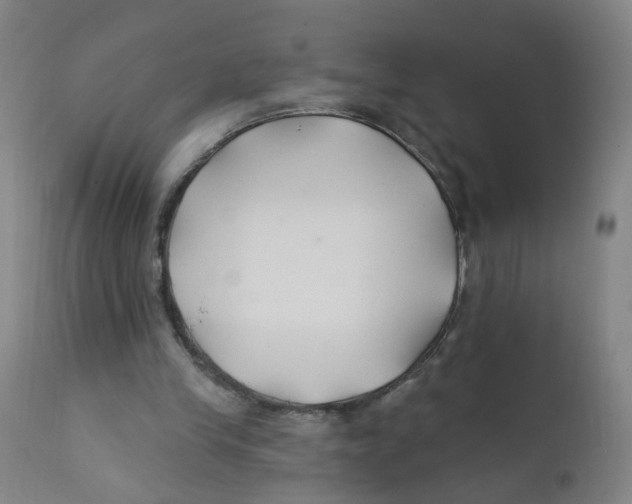 X0000112200245200909041324