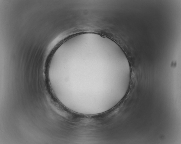 X0000112200246200909041324