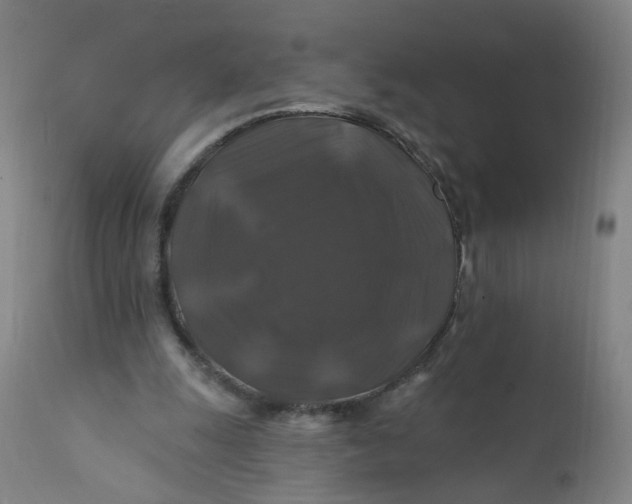 X0000112200247200909041324