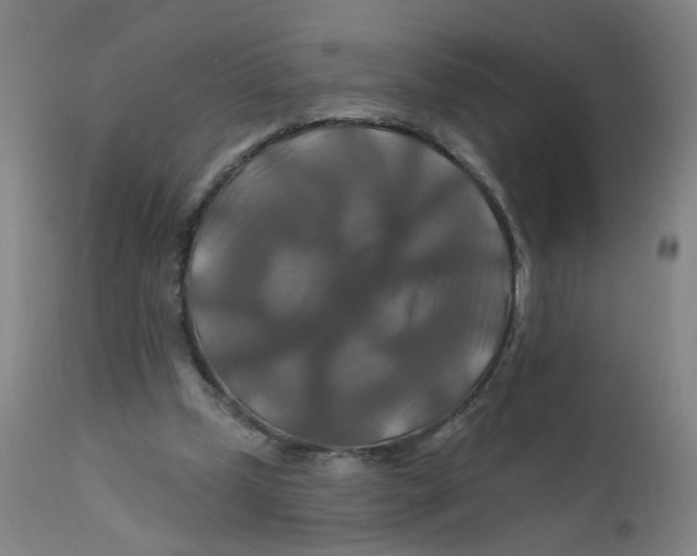 X0000112200249200909041324