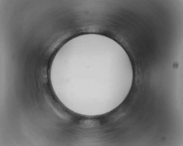 X0000112200251200909041324