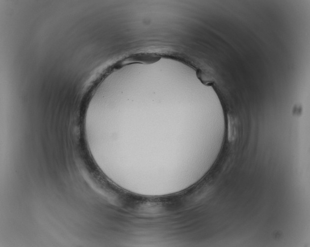 X0000112200252200909041324