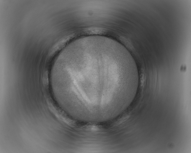 X0000112200254200909041324