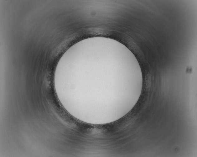 X0000112200255200909041324