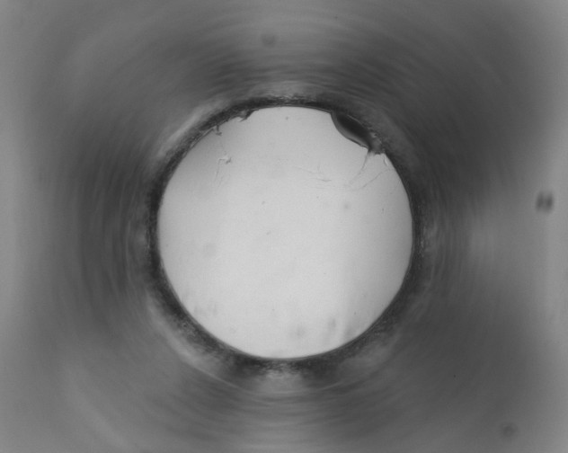 X0000112200256200909041324