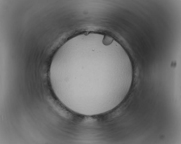 X0000112200257200909041324