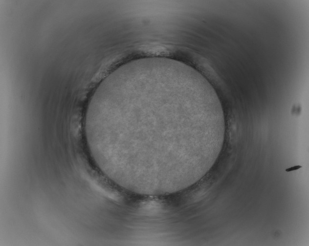 X0000112200259200909041324