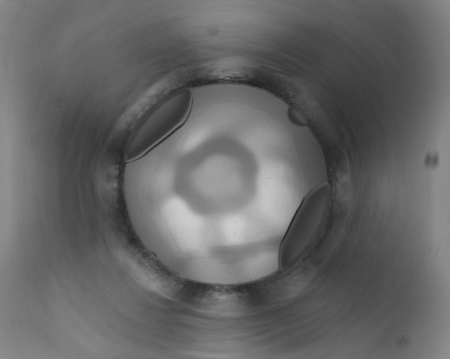 X0000112200260200909041324