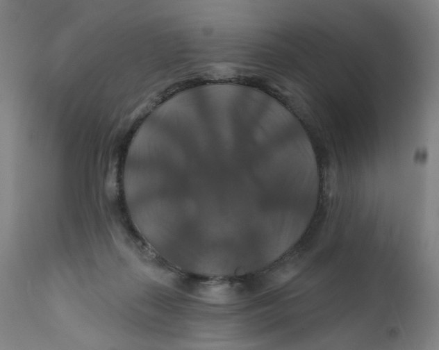 X0000112200267200909041324