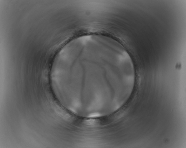 X0000112200269200909041324