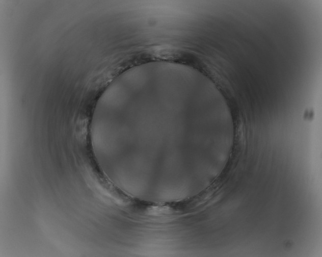 X0000112200271200909041324