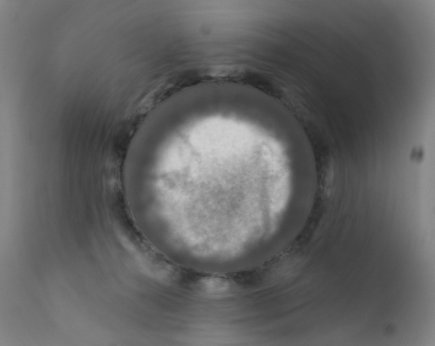 X0000112200272200909041324