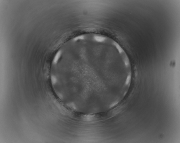 X0000112200273200909041324