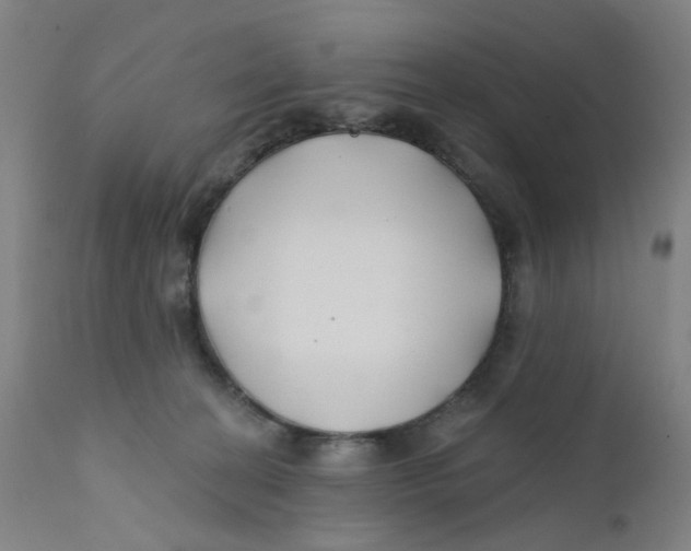 X0000112200274200909041324