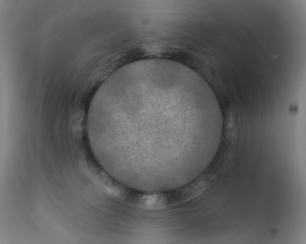 X0000112200275200909041324