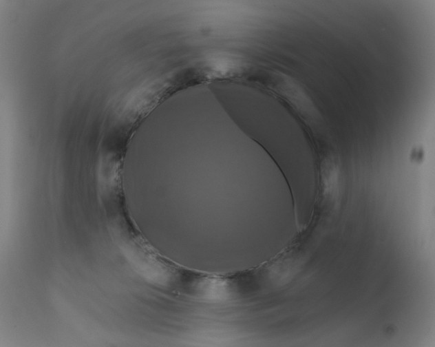 X0000112200276200909041324