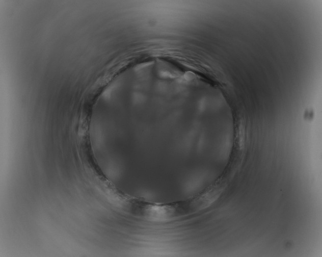 X0000112200277200909041324