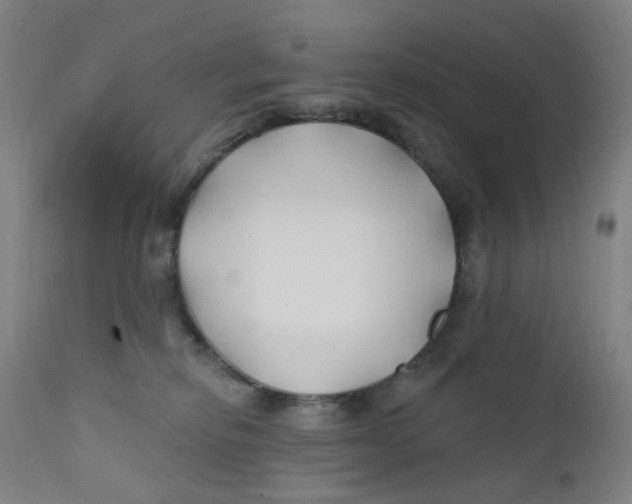 X0000112200278200909041324