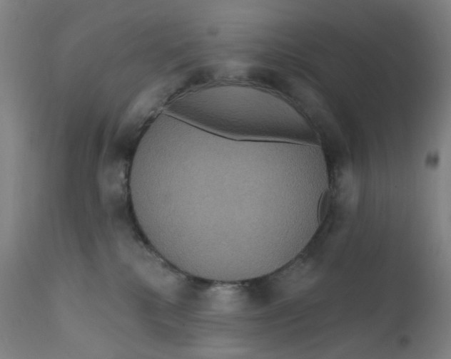 X0000112200280200909041324