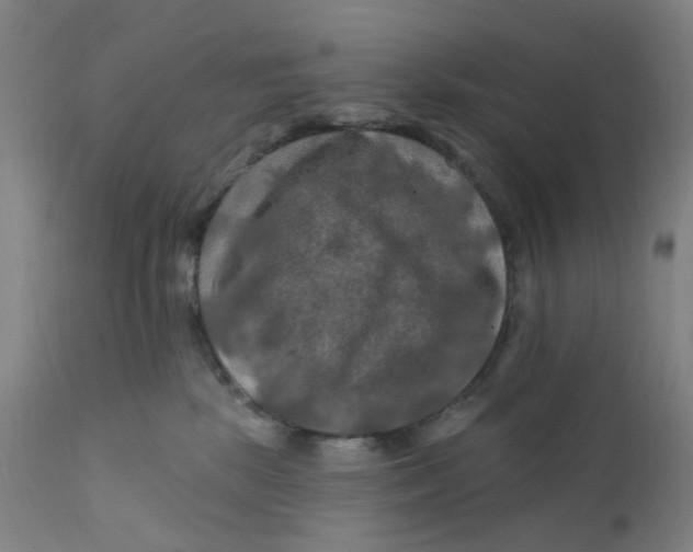 X0000112200281200909041324