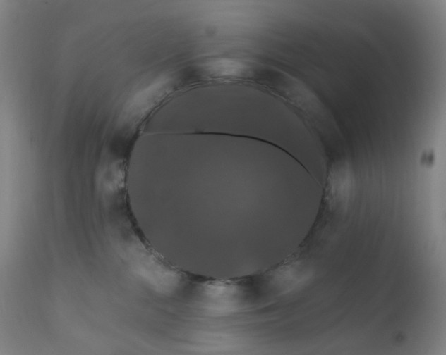 X0000112200284200909041324
