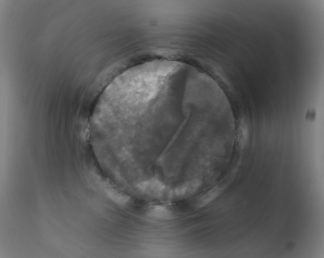 X0000112200285200909041324
