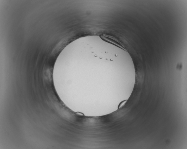 X0000112200286200909041324