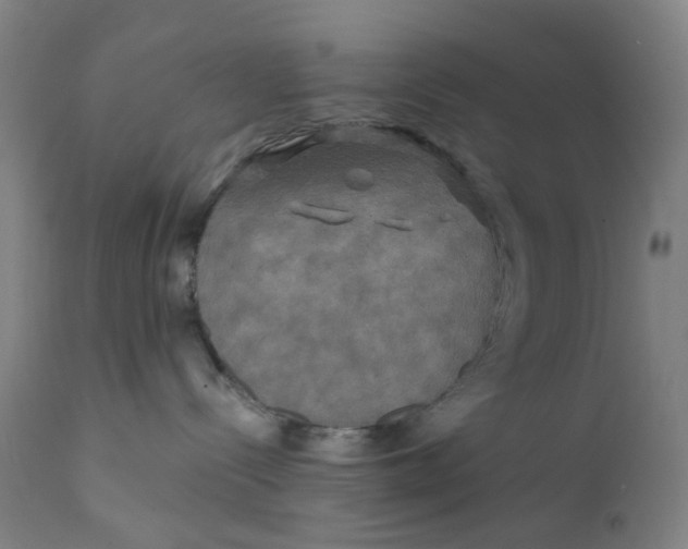 X0000112200288200909041324