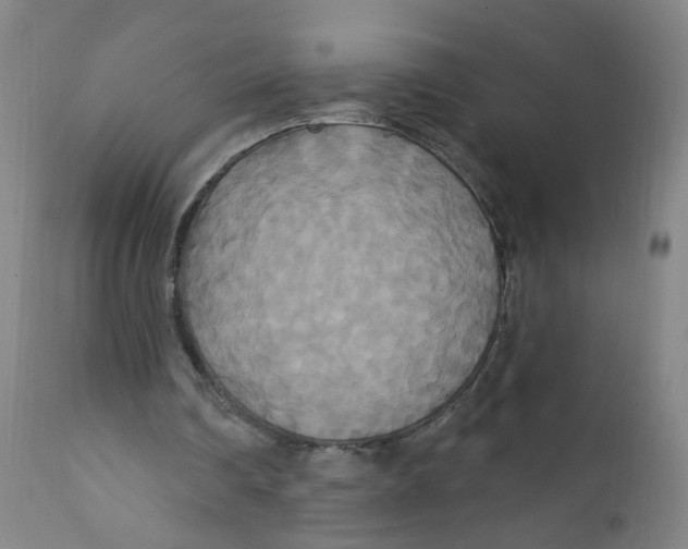 X0000112200290200909041324