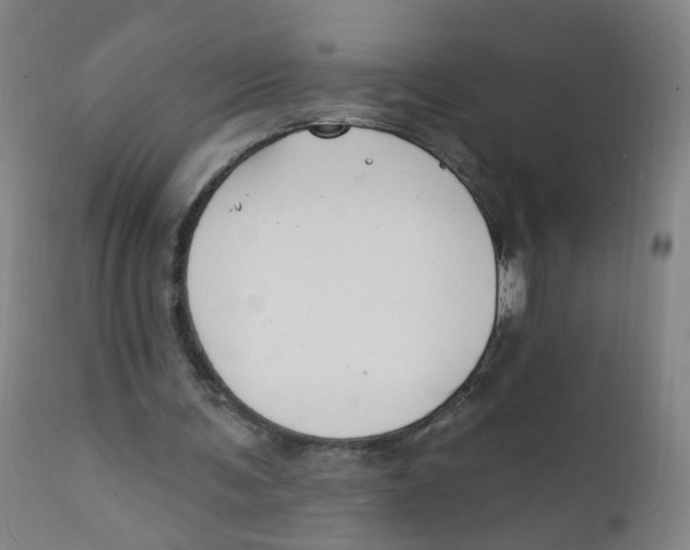 X0000112200291200909041324