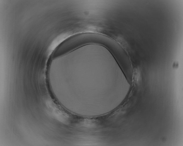 X0000112200292200909041324
