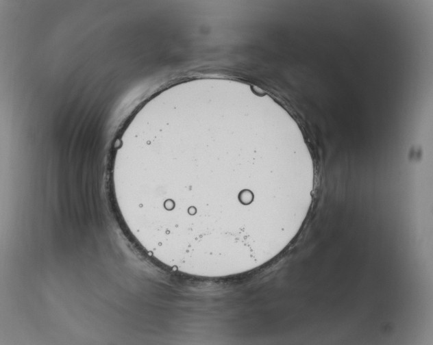 X0000112200293200909041324