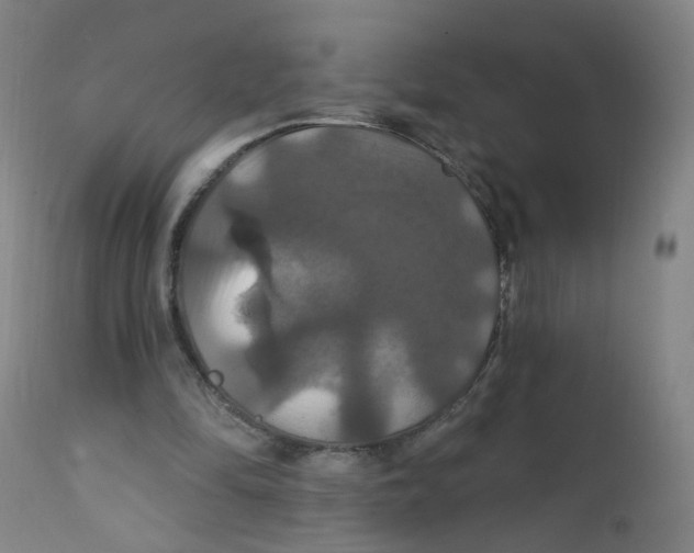X0000112200294200909041324