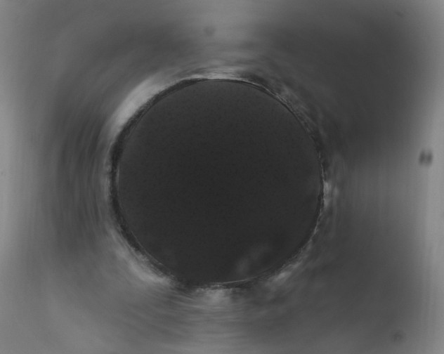 X0000112200295200909041324