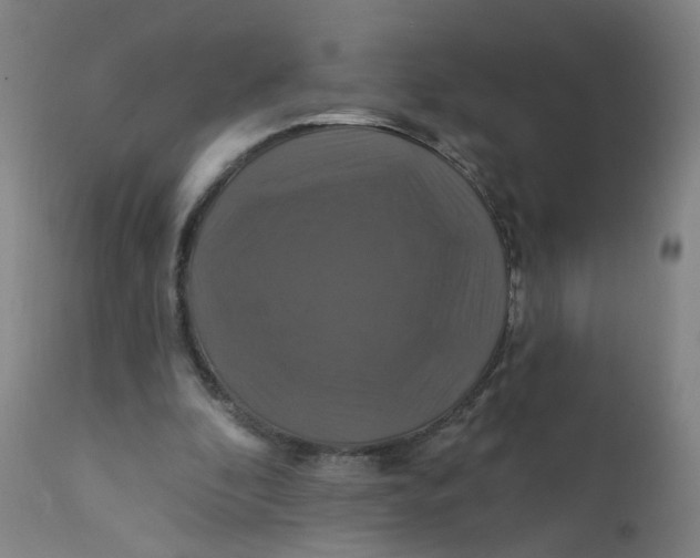 X0000112200296200909041323