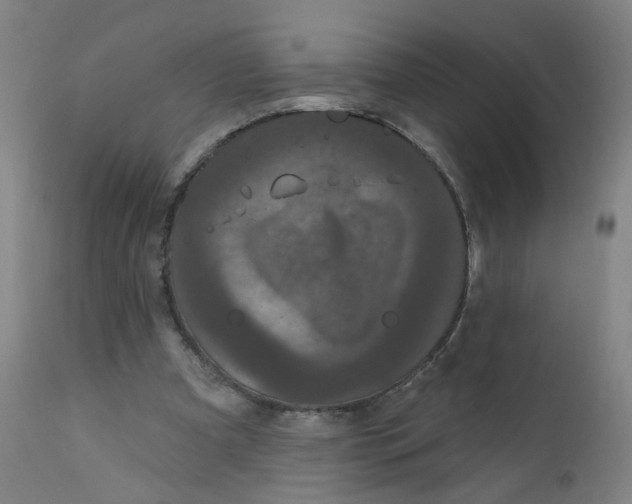 X0000112200297200909041323