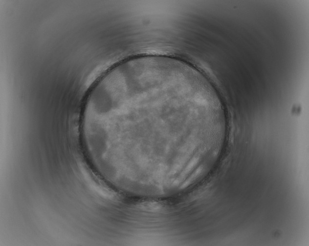 X0000112200299200909041323