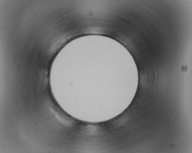 X0000112200302200909041323