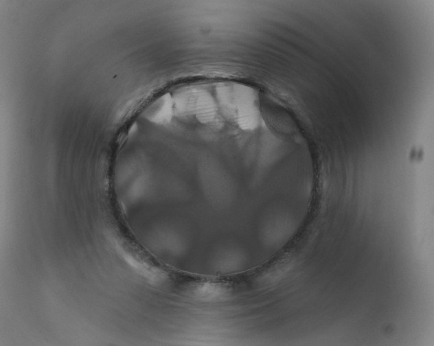 X0000112200303200909041323