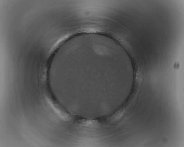 X0000112200304200909041323