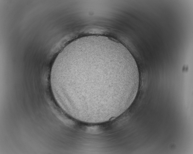X0000112200309200909041323