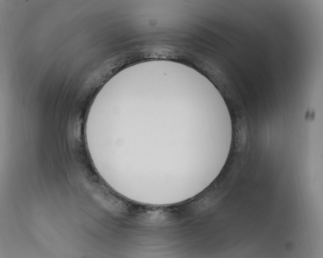 X0000112200310200909041323