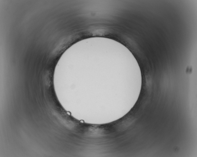 X0000112200311200909041323