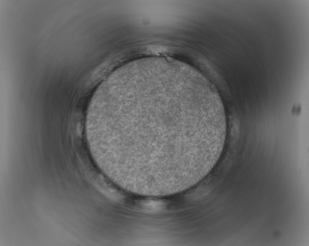 X0000112200313200909041323