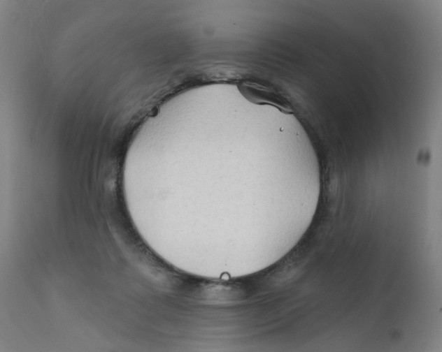 X0000112200315200909041323
