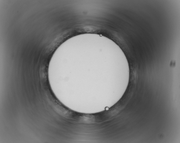 X0000112200317200909041323