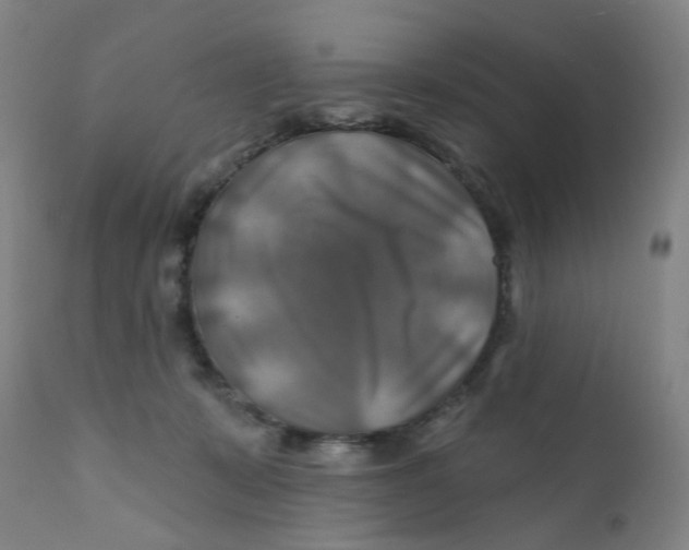 X0000112200319200909041323