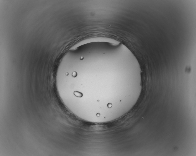 X0000112200320200909041323