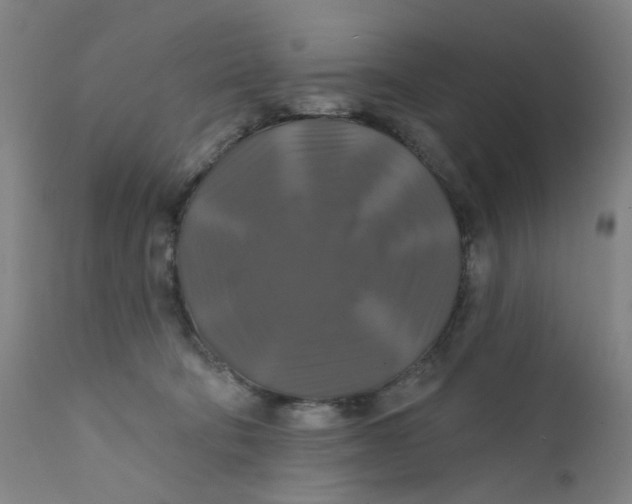 X0000112200322200909041323