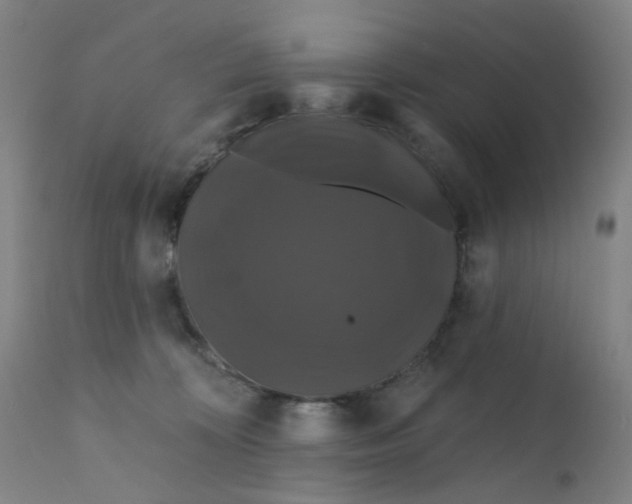 X0000112200324200909041323